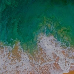 Meet your Posher, Jr